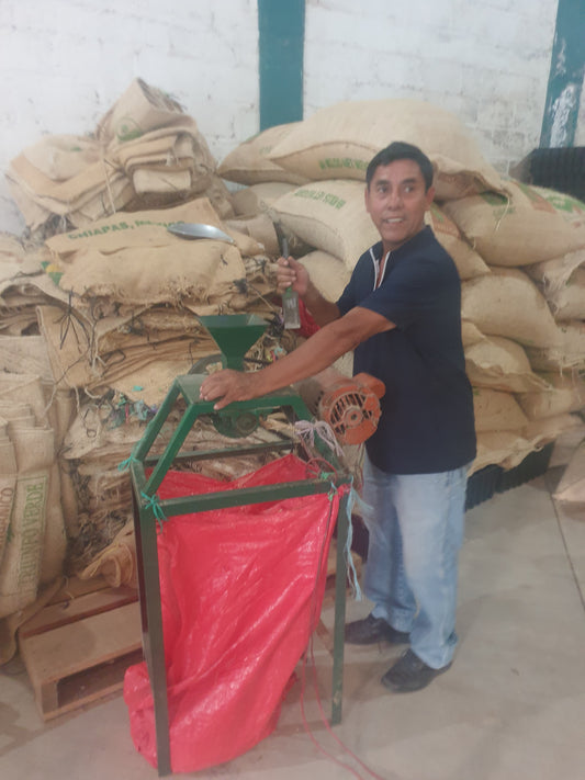 MEXIQUE - Sierra Madre du Chiapas - El Triunfo Verde dernier mois Avril