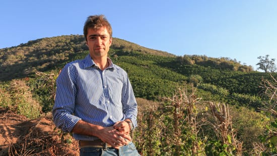 BRÉSIL - Région Carmo de Minas - Yellow Bourbon 2025