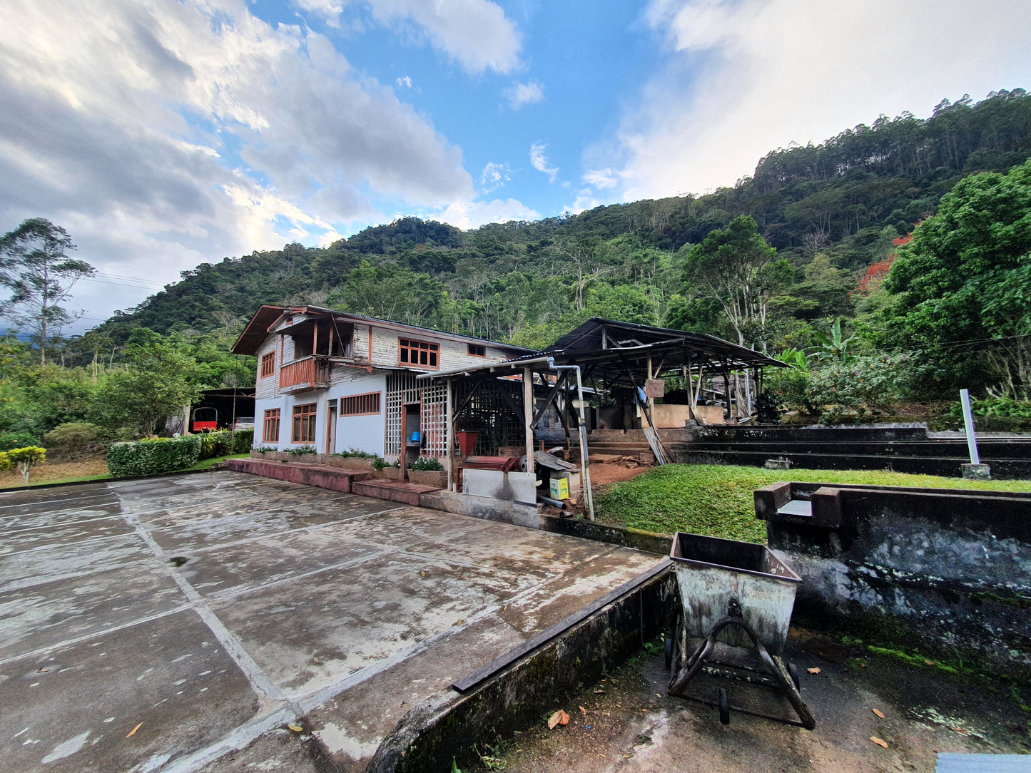 PEROU - Oxapampa - Villa Rica - projet Intikafe - collection 2026