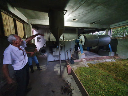 PEROU - Oxapampa - Villa Rica - projet Intikafe - collection 2026