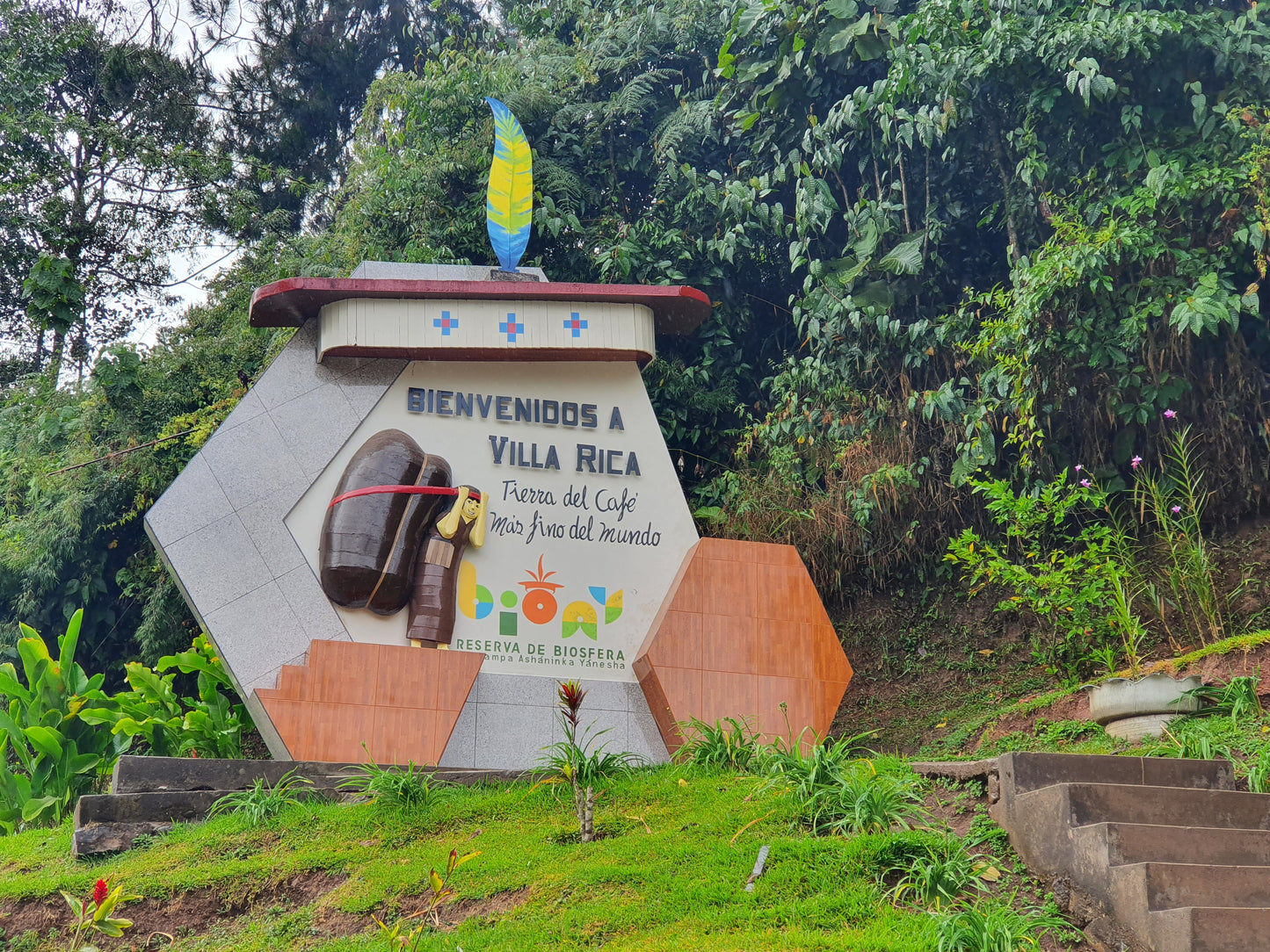 PEROU - Oxapampa - Villa Rica - projet Intikafe - collection 2026