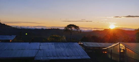 COLOMBIE - CAUCA - Vallée El Tambo - Association Women ASMUCAFE