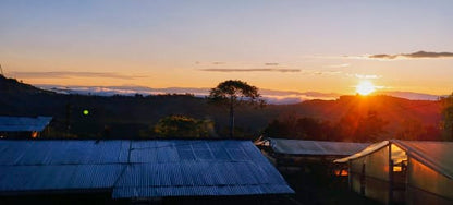 COLOMBIE - CAUCA - Vallée El Tambo - Association Women ASMUCAFE